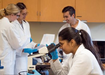 A spectacular 33-hour cell division summarized in a beautiful 23-second time lapse