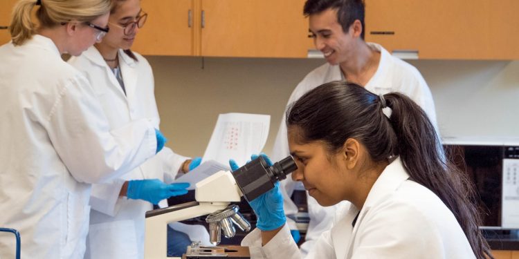 A spectacular 33-hour cell division summarized in a beautiful 23-second time lapse