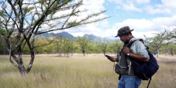 Carbon Offsetting 101