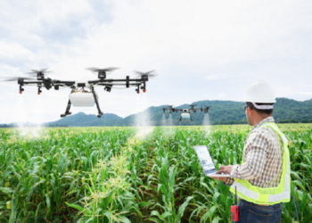 Organic Food Is The Future For Global Agriculture