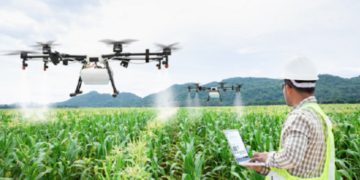 Organic Food Is The Future For Global Agriculture
