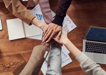 More Entrepreneurs Investing in SEO Than Ever