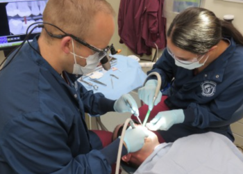 How much does a dentist in Knox earn?