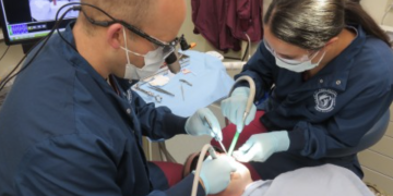 How much does a dentist in Knox earn?