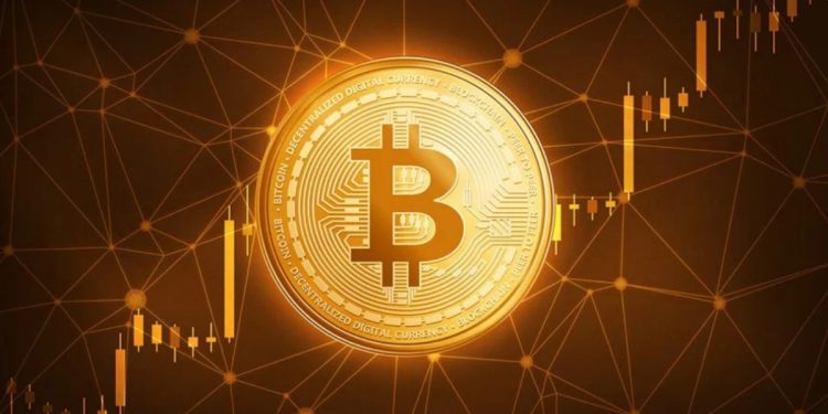 Cryptocurrency Still Fighting For Survival