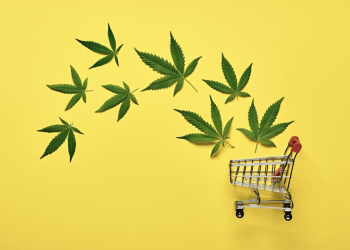 Unlock the Power of THC Isolate: Your Ultimate Guide to Medical