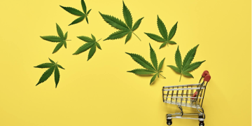 Unlock the Power of THC Isolate: Your Ultimate Guide to Medical