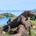 Unlocking the Wonders of Flores Island Gateways to Adventure in Komodo National Park