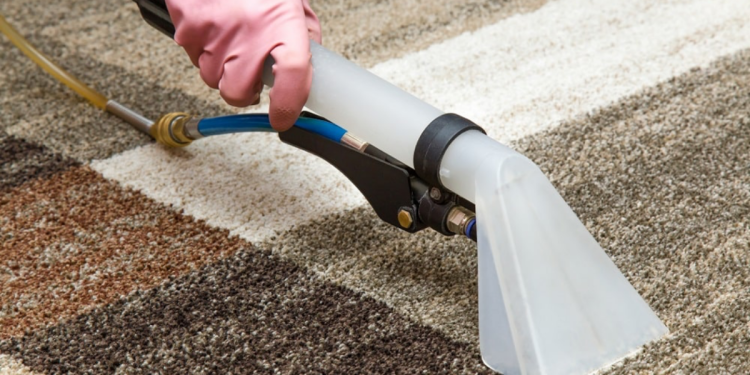 Maintaining the Beauty of Your Carpets Professional Carpet Cleaning Aftercare