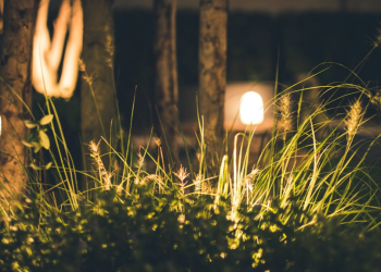 Tips For Using Your Solar Lights Effectively