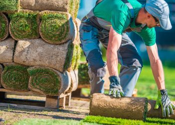 How Residential Landscaping Services Can Increase Your Home’s Value