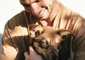 How Pets Influence Human Behaviour