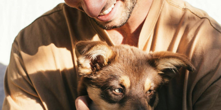 How Pets Influence Human Behaviour