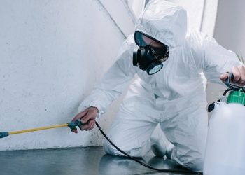 The Impact of Professional Pest Control Services in Maintaining Home Health and Hygiene in Adelaide