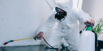 The Impact of Professional Pest Control Services in Maintaining Home Health and Hygiene in Adelaide