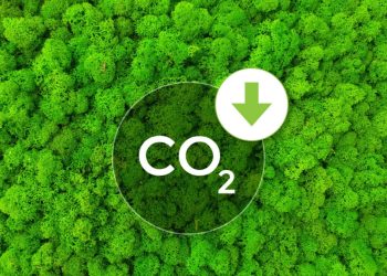 Easy Tips to Save Energy and Lower Your Carbon Footprint