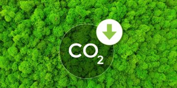 Easy Tips to Save Energy and Lower Your Carbon Footprint