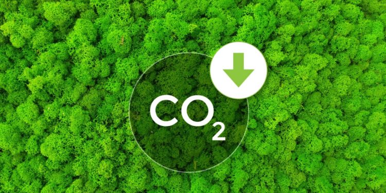 Easy Tips to Save Energy and Lower Your Carbon Footprint