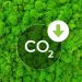 Easy Tips to Save Energy and Lower Your Carbon Footprint