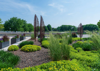 Low-Maintenance Landscaping Solutions for High-Traffic Commercial Areas