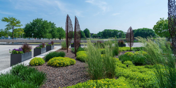 Low-Maintenance Landscaping Solutions for High-Traffic Commercial Areas