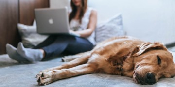 5 Perks of Working from Home with a Pet